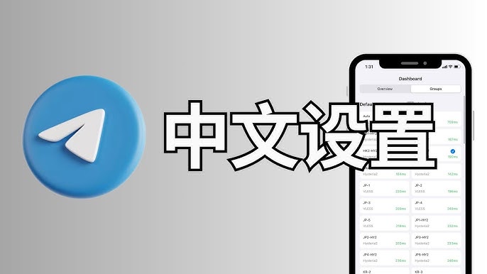 手机版Telegram怎么设置中文？